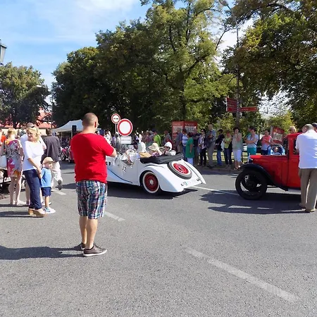 Kreta 3* كوتنا هورا